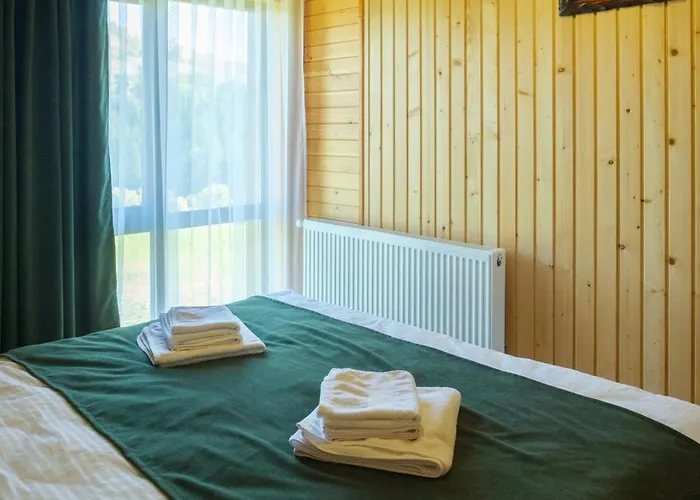шепіт карпат 山林小屋 亚西尼亚